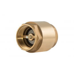 Check valve (plastic) 3/4 Check valve (plastic) 3/4